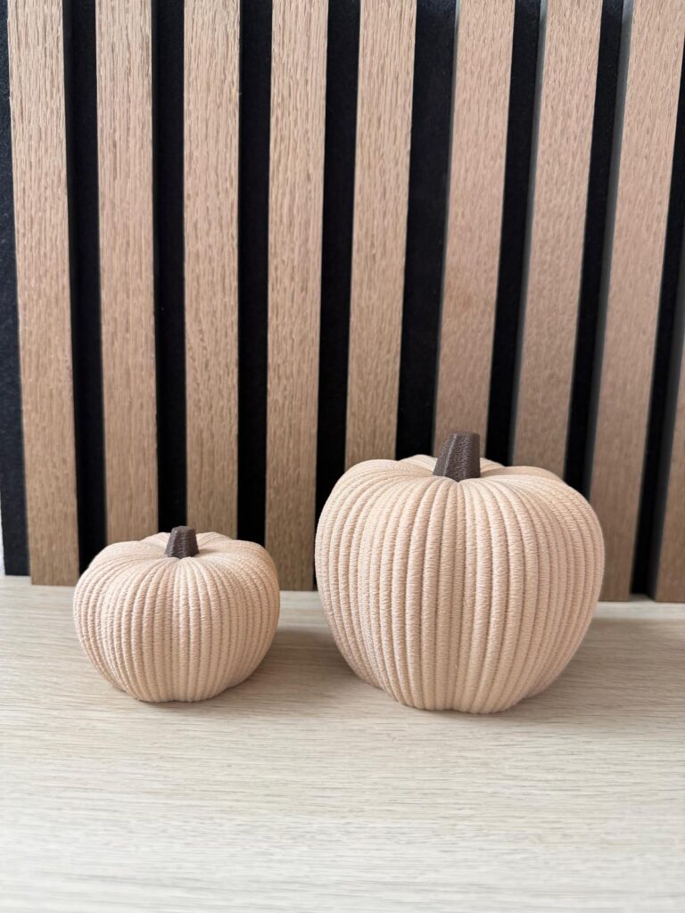 3D Geprinte Pompoen | Herfstdecoratie